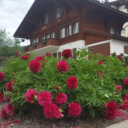 Waldperle Διαμέρισμα