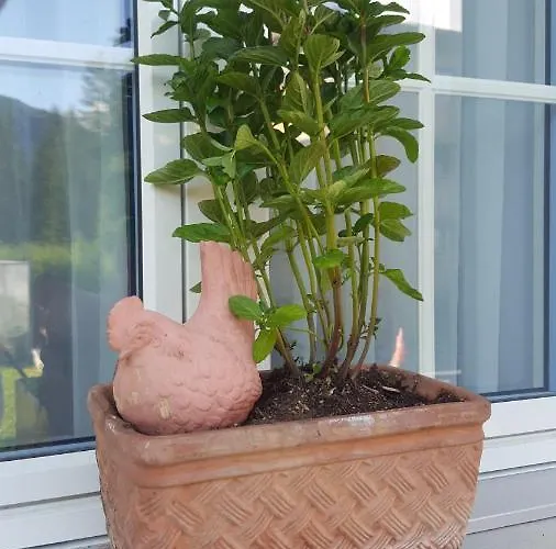 Appartement Waldperle