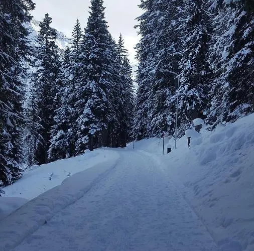 Waldperle Appartement